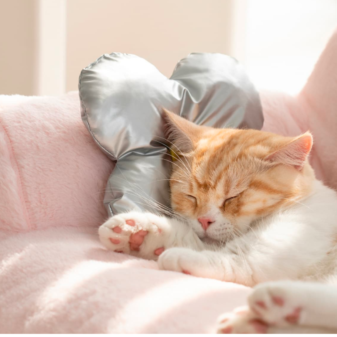 Sofa Cama Antiansiedad Para Perros y Gatos - Calma y Amor