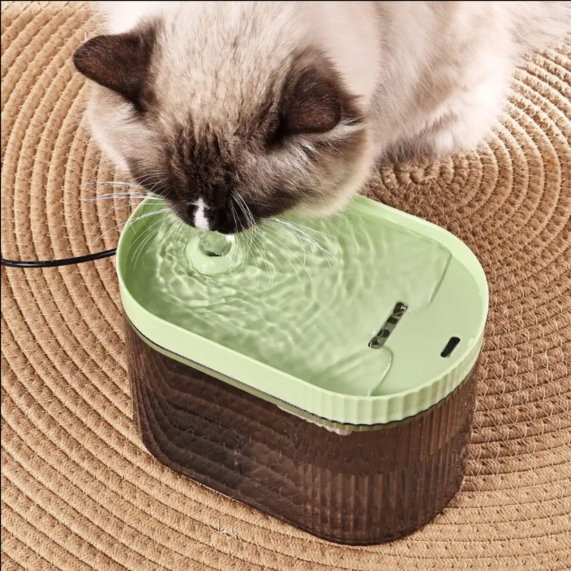 Bebedero Fuente De Agua  M