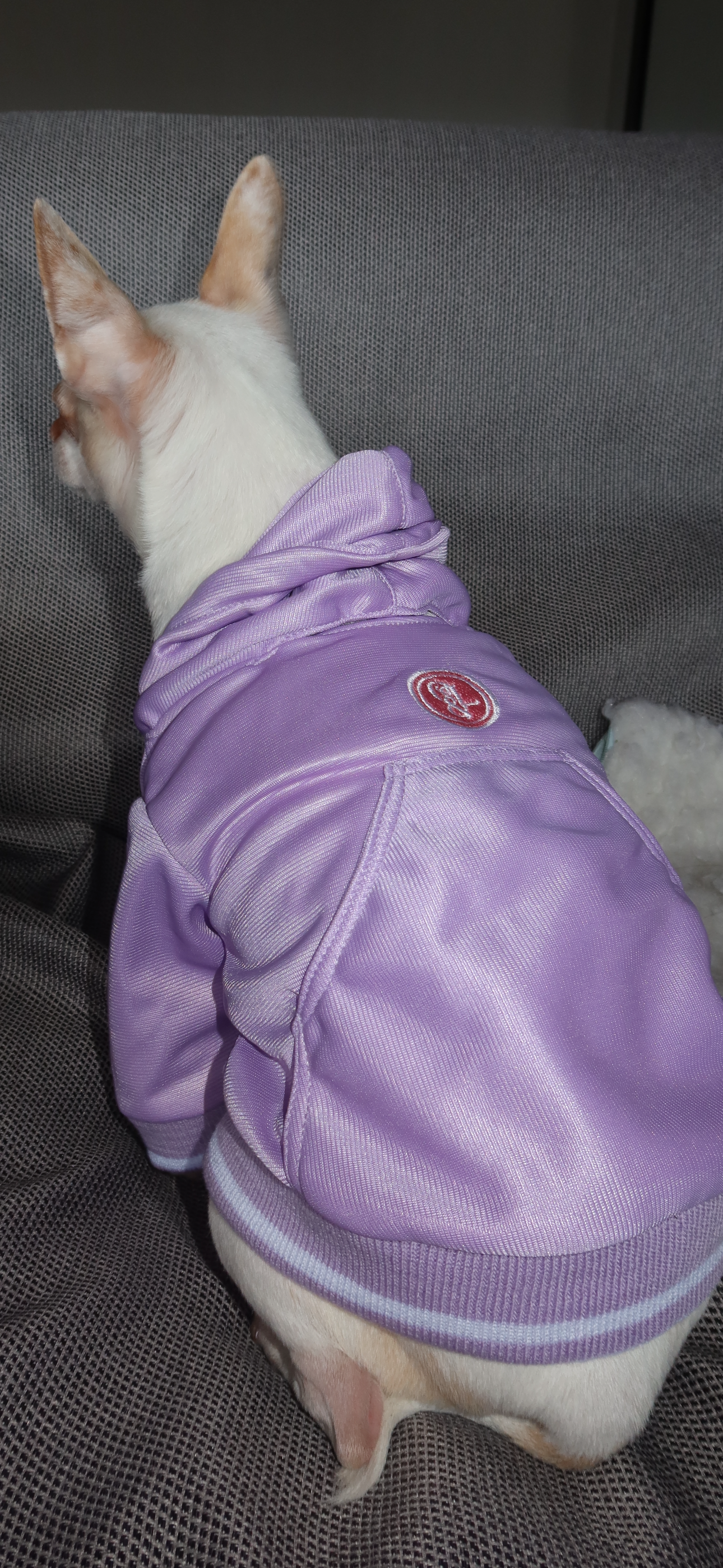 Hoodie Morado Coco & Lana