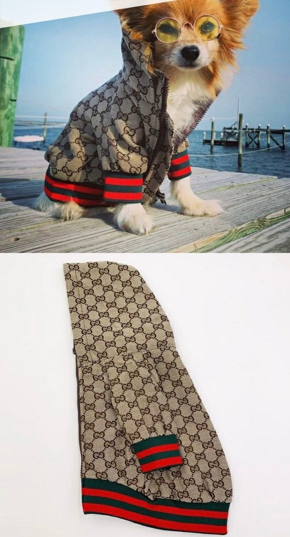 Chaqueta Gucci