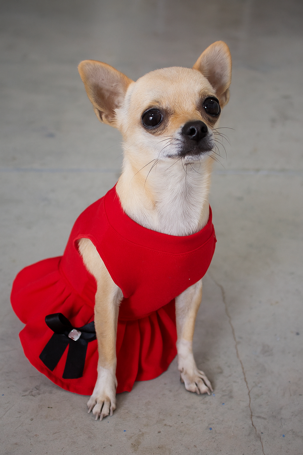 Vestido Rojo (Promocion)