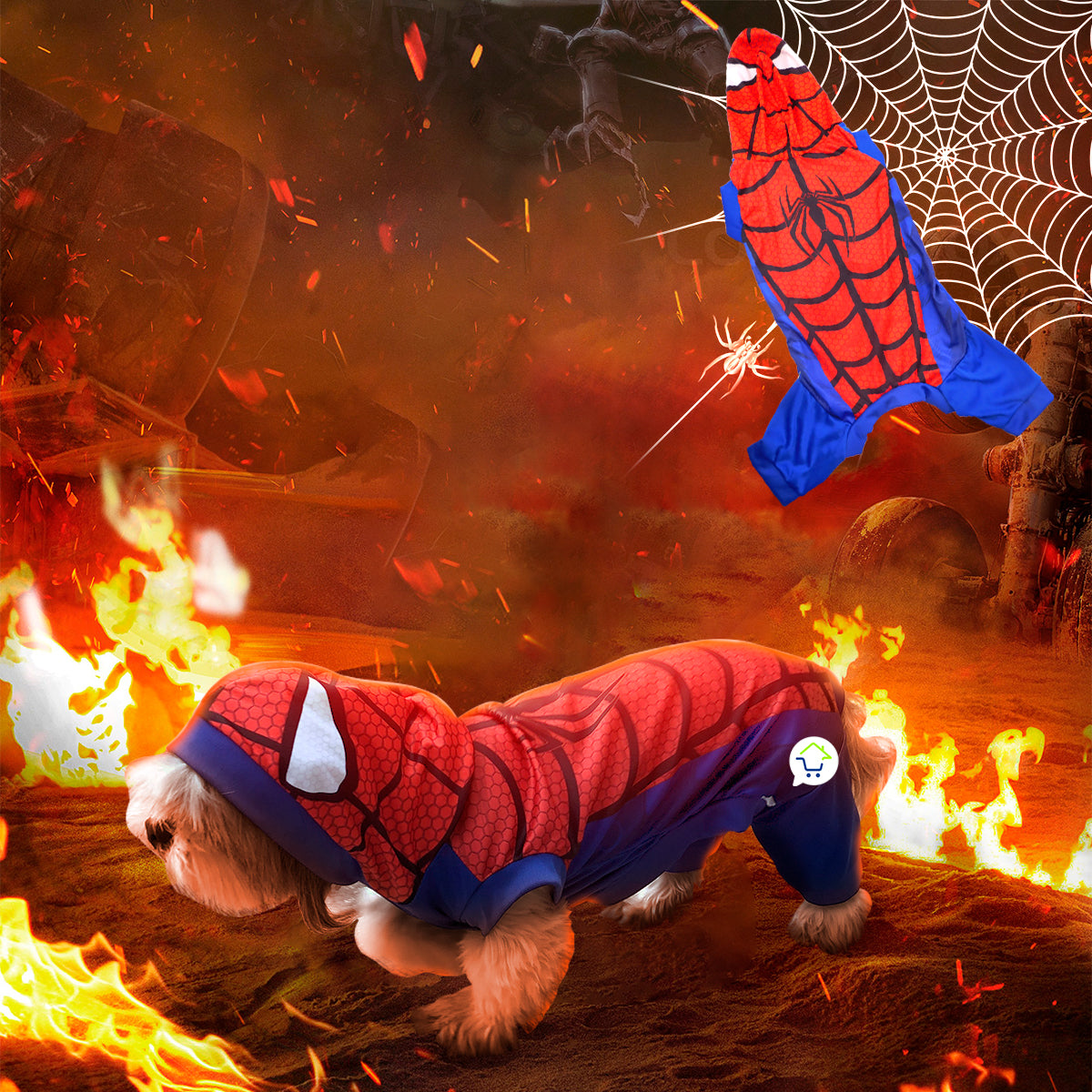 Disfraz Araña