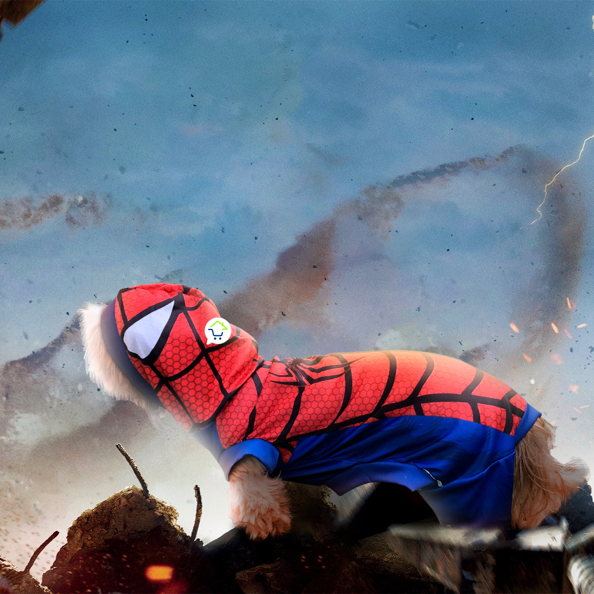 Disfraz Araña