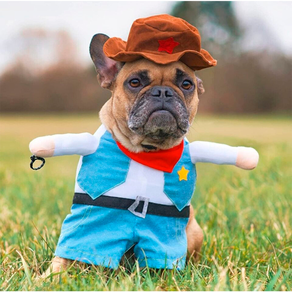 Disfraz De Vaquero