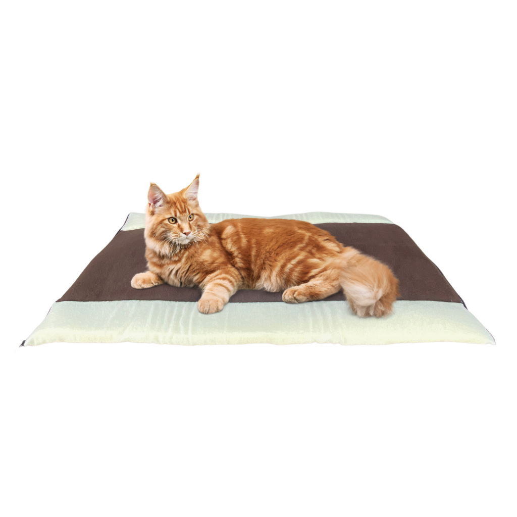 Cama 2 en 1 para gato