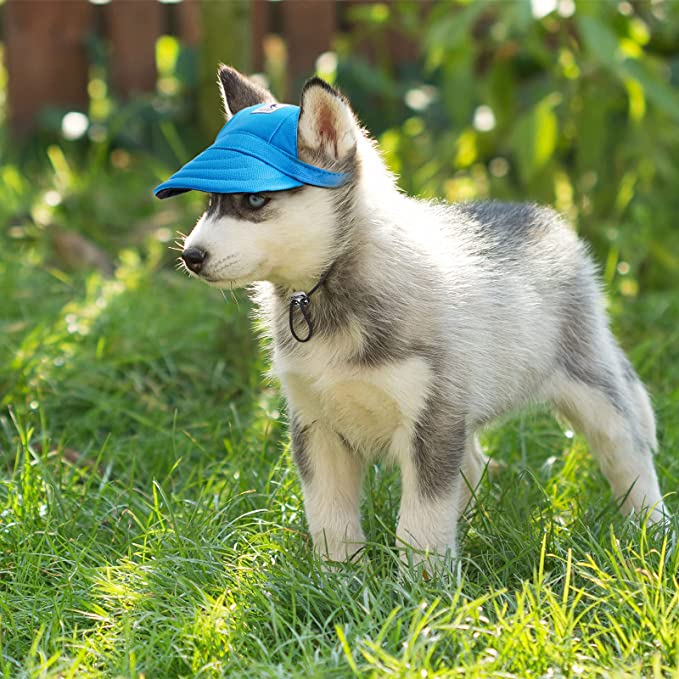 Gorrita De Sol Para Perro