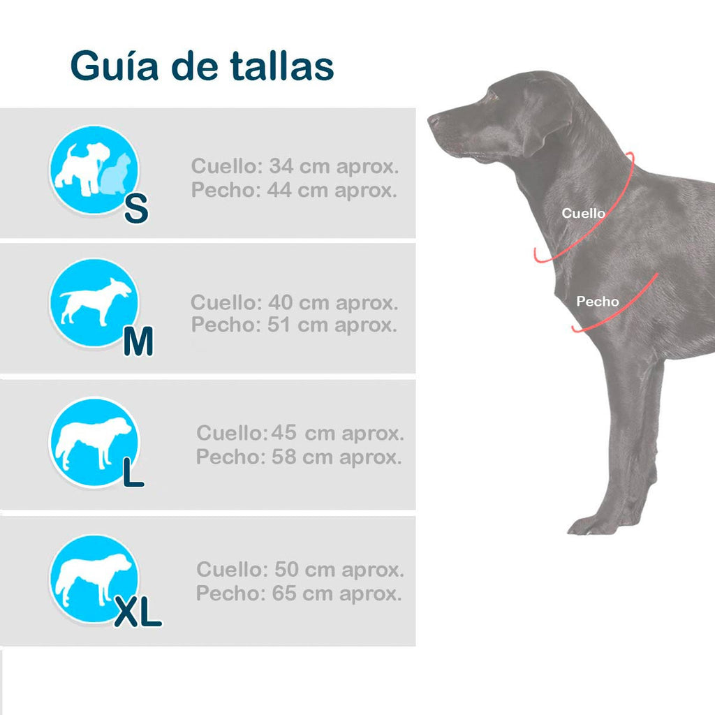Disfraz De Bella