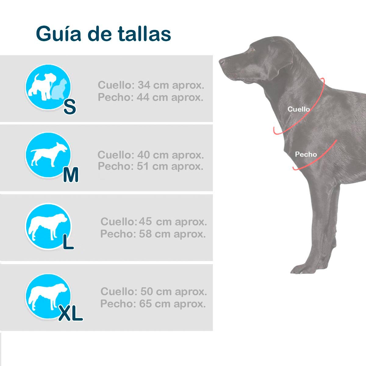 Disfraz De Bella