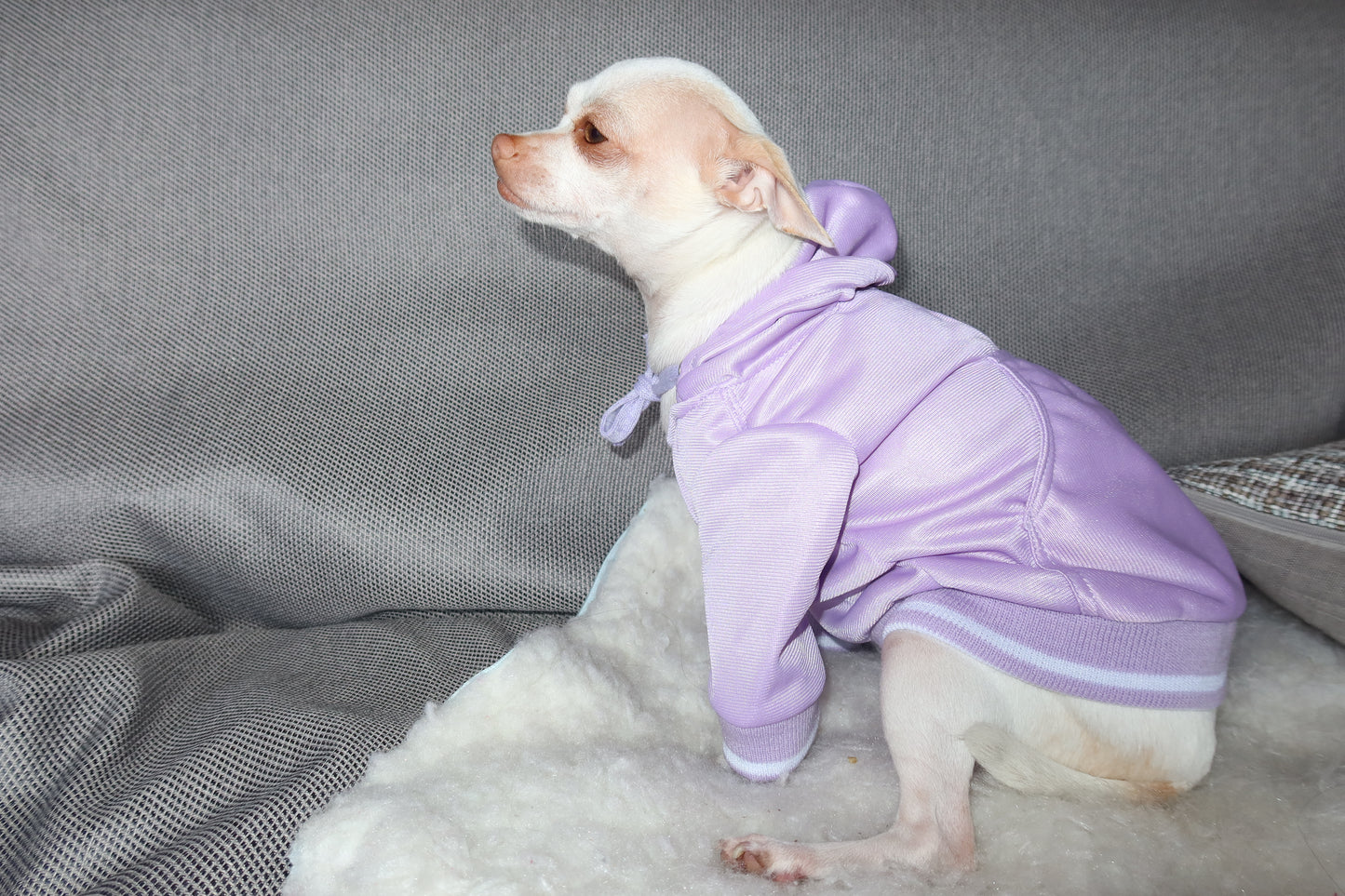 Hoodie Coco y Lana morado