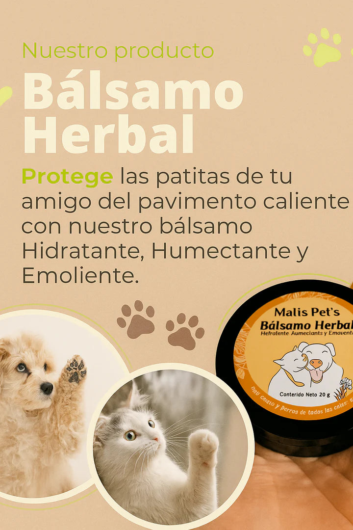 Bálsamo Curativo Perros Gatos