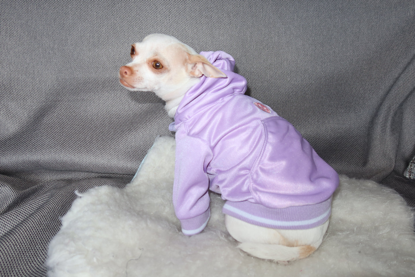 Hoodie Coco y Lana morado