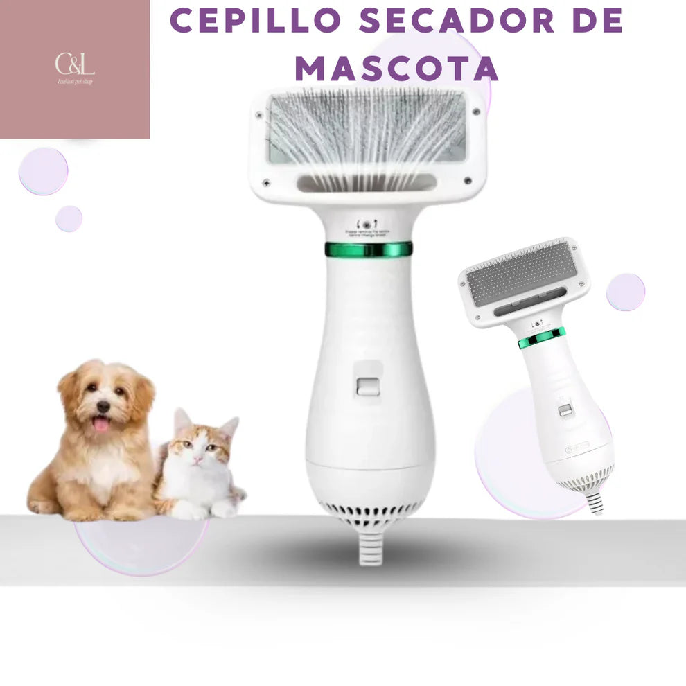 Cepillo Secador
