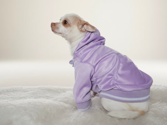 Hoodie Morado Coco & Lana