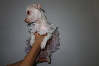 Vestido Rosa Estilo Princesa