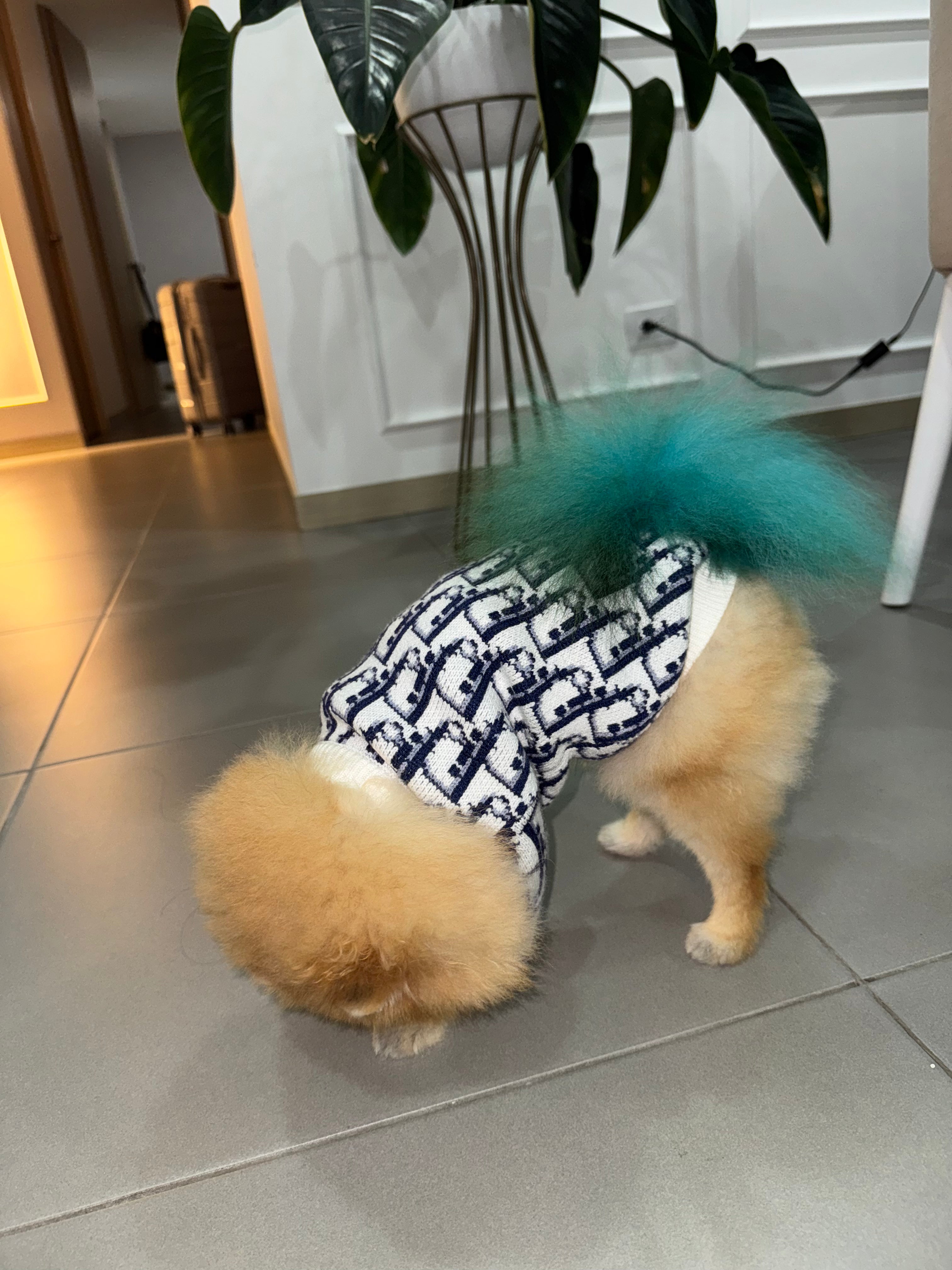 Saquito Dior