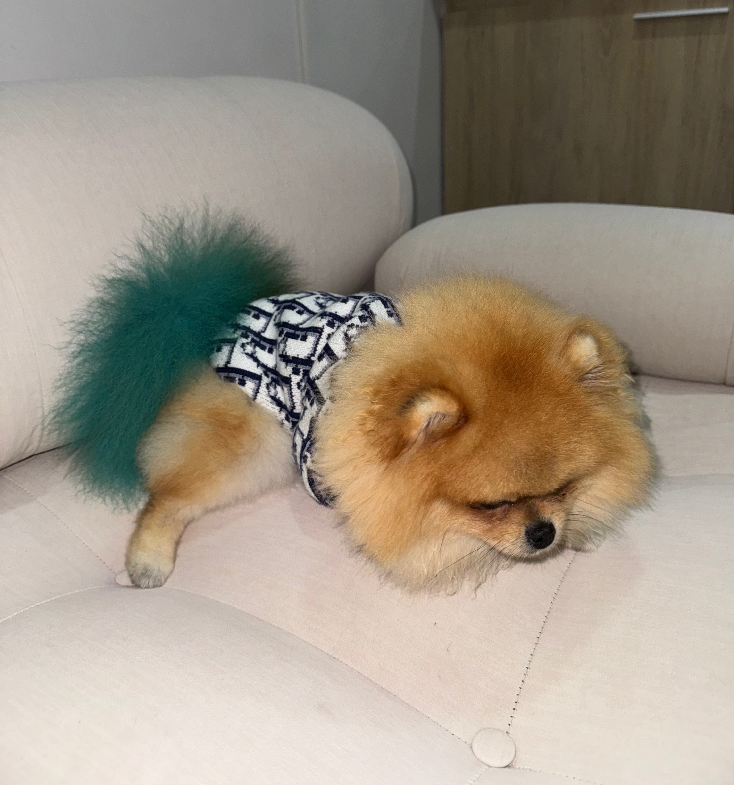 Saquito Dior