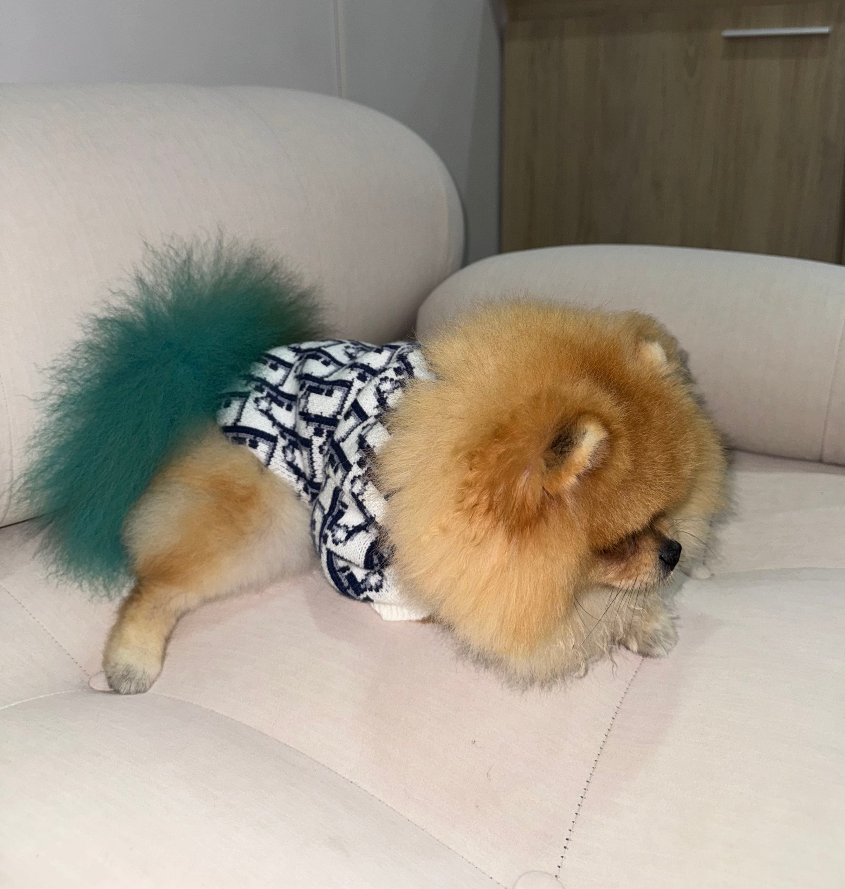 Saquito Dior