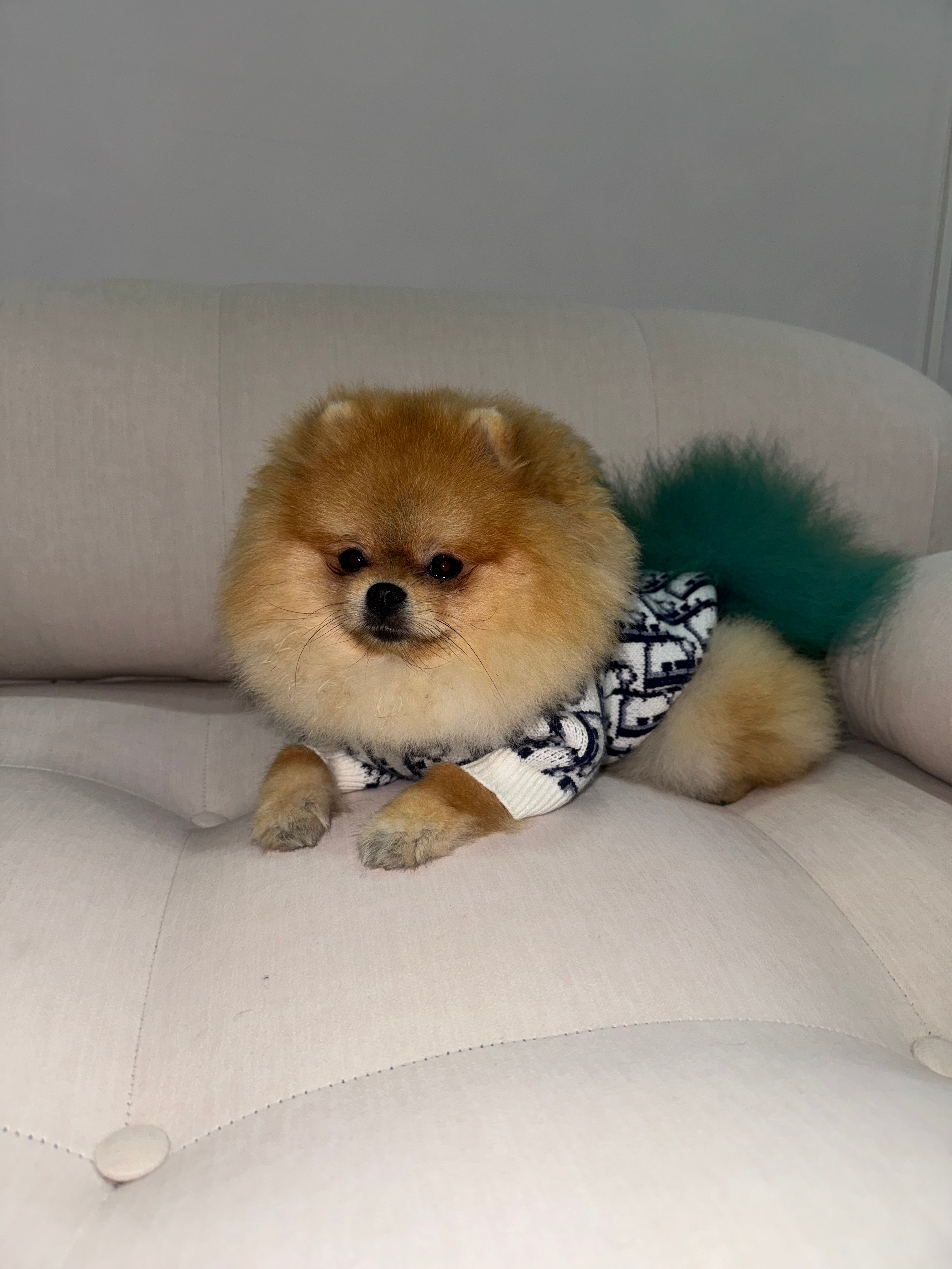 Saquito Dior