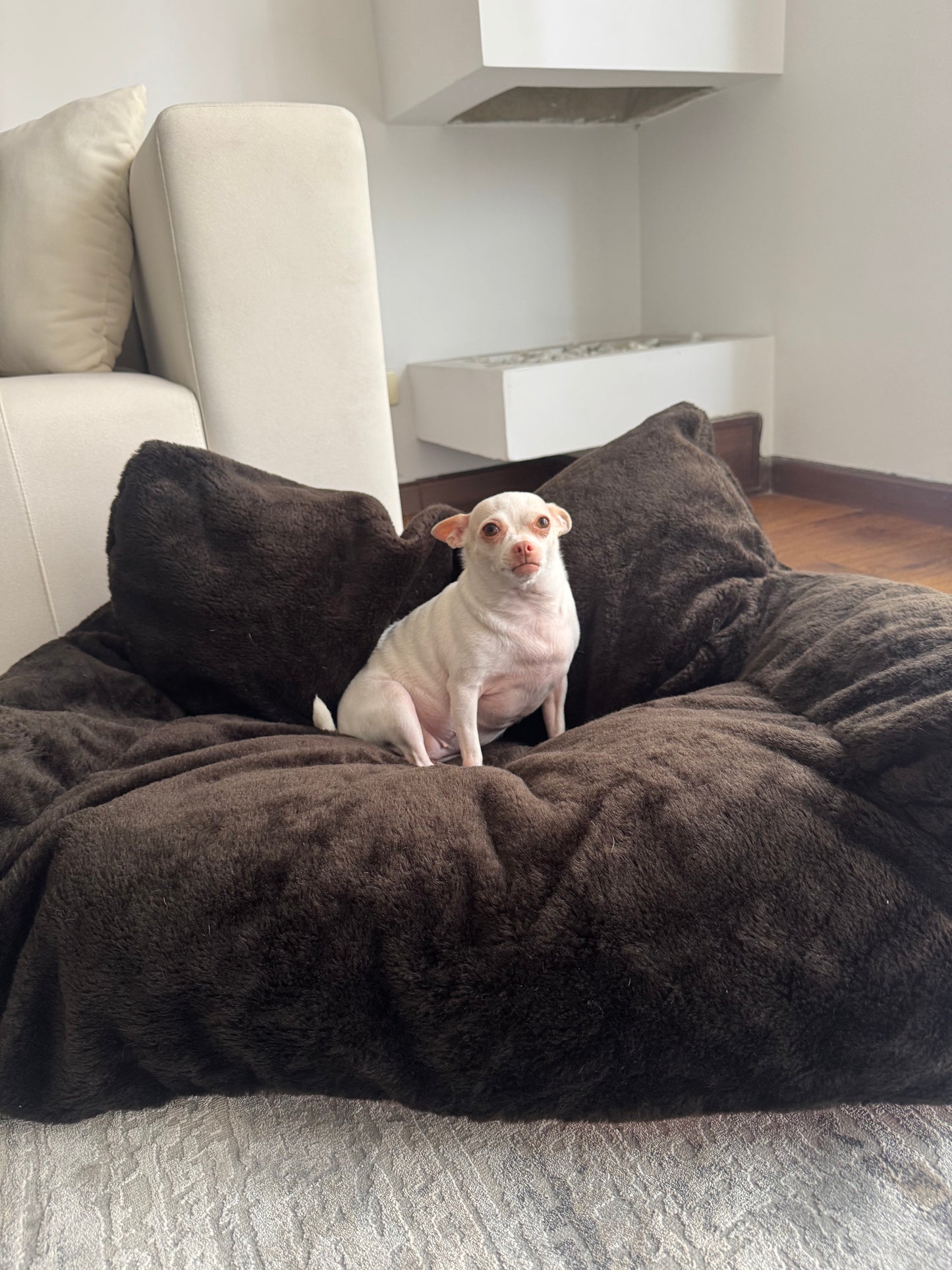 Sofa Cama Antiansiedad Para Perros y Gatos - Calma y Amor