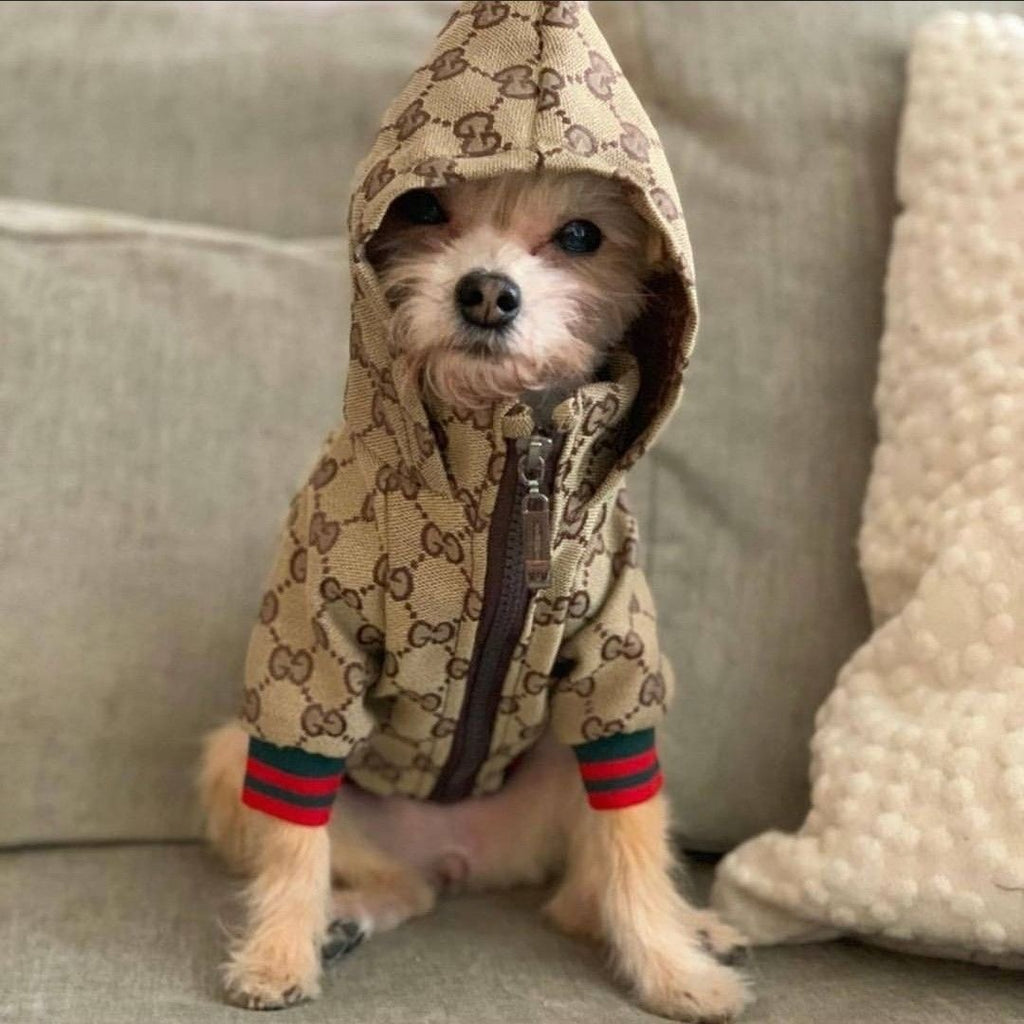 Chaqueta Gucci