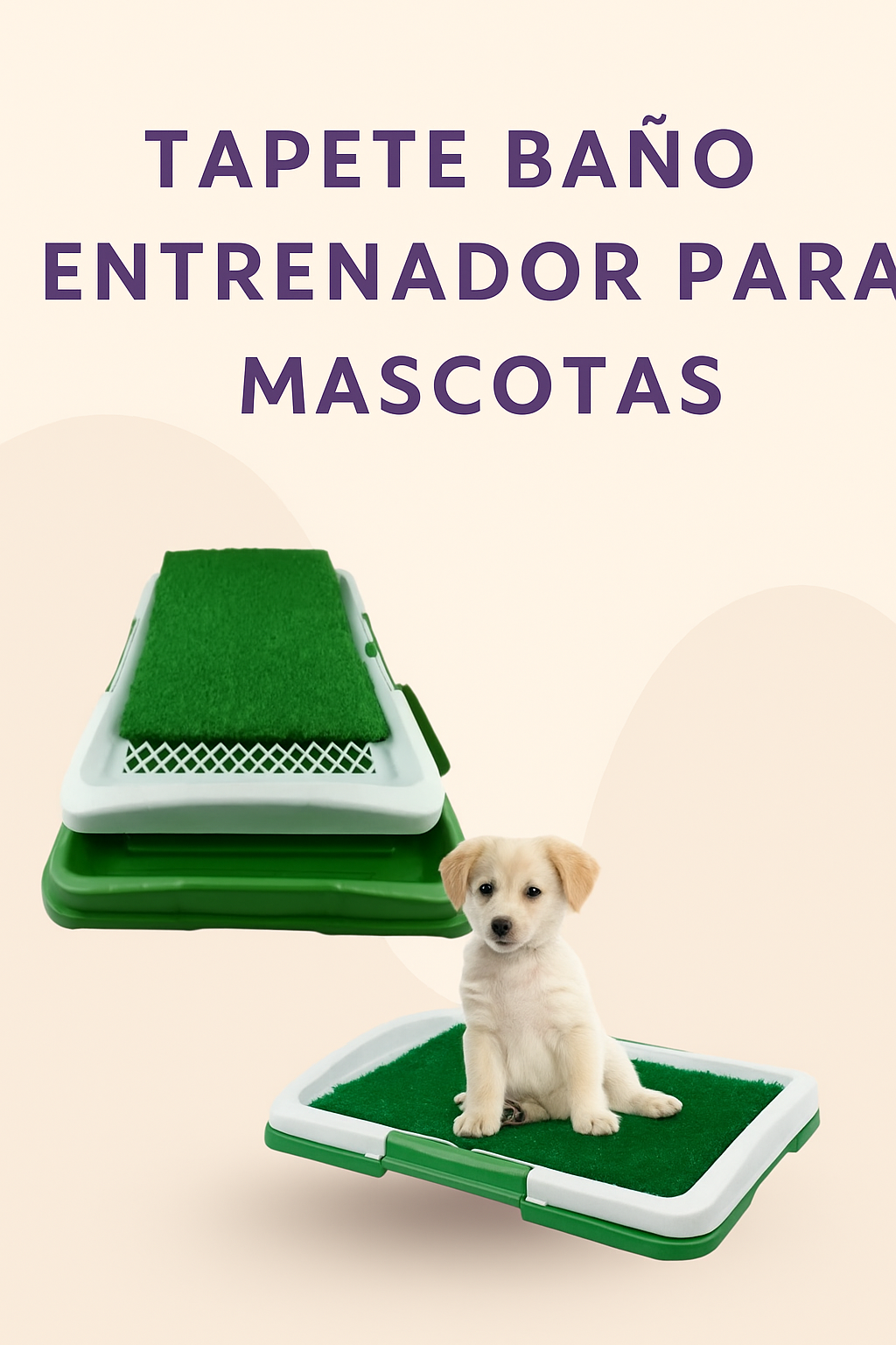 Tapete Baño Entrenador Pequeño